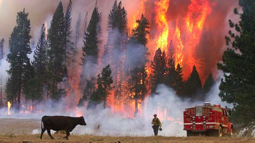 This fire presents a significant threat to the water quality of the Don Pedro Reservoir