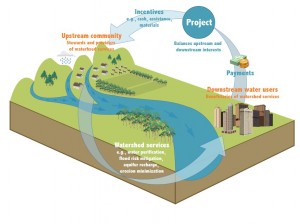 PES Graphic (retrieved from: http://s3.amazonaws.com/mongabay-images/13/0128.foresttrends_watershed_large.jpg)