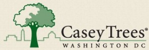 Casey Trees logo. www.caseytrees.org.