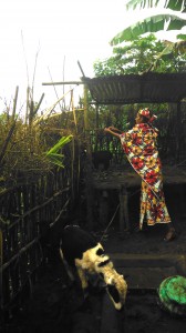 Mbororo woman caring for goats from the income generating project discussed herein