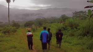 Fieldwork in Ebamut, in the buffer zone of the Bayang Mbó Wildlife Sanctuary