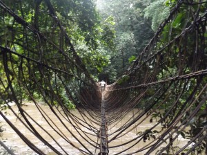 Hanging Bridge crossing the natural river boundary between villages and the Sanctuary