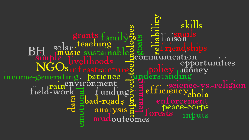 Peace Corps Cameroon Wordle