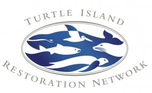 Turtle Island Restoration Network Logo (www.seaturtles.org)
