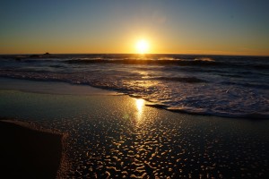 Hike to Alamere Falls. Photo by Sara Gendel