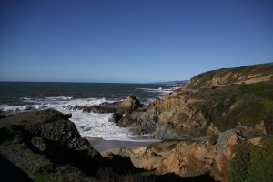 Bodega Bay. Photo by Sara Gendel