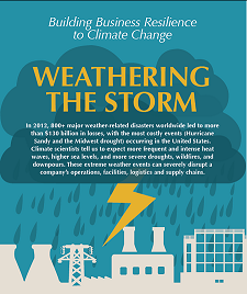 Image: Weathering the Storm. A report compiled as part of the Business Resilience program.