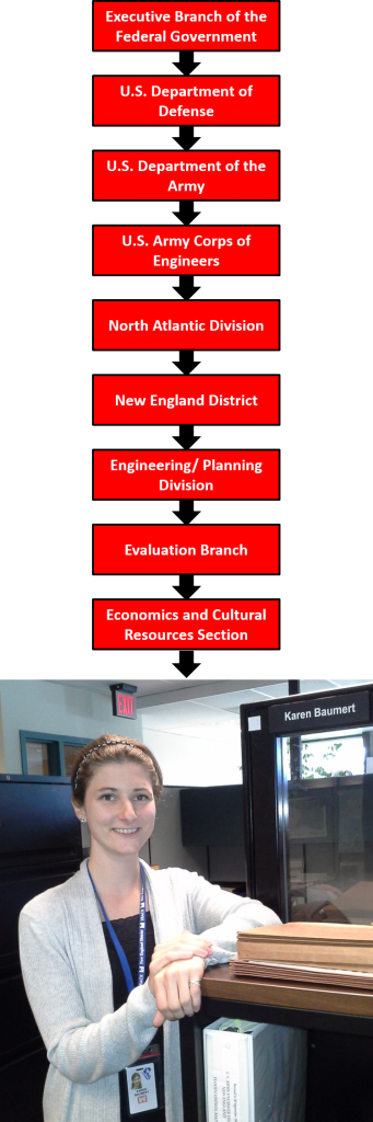 Simplified Organization Chart of the USACE