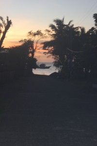 My first view of the ocean through the palms with a glimpse of a commercial fishing vessel.