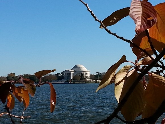Autumn arrives at the Tidal Basin in Washington D.C.