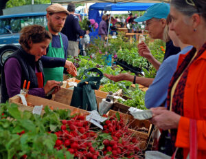 Boxes of radishes and lettuce in a farmers market stall. Two merchants and two customers smiling on each side of the table.