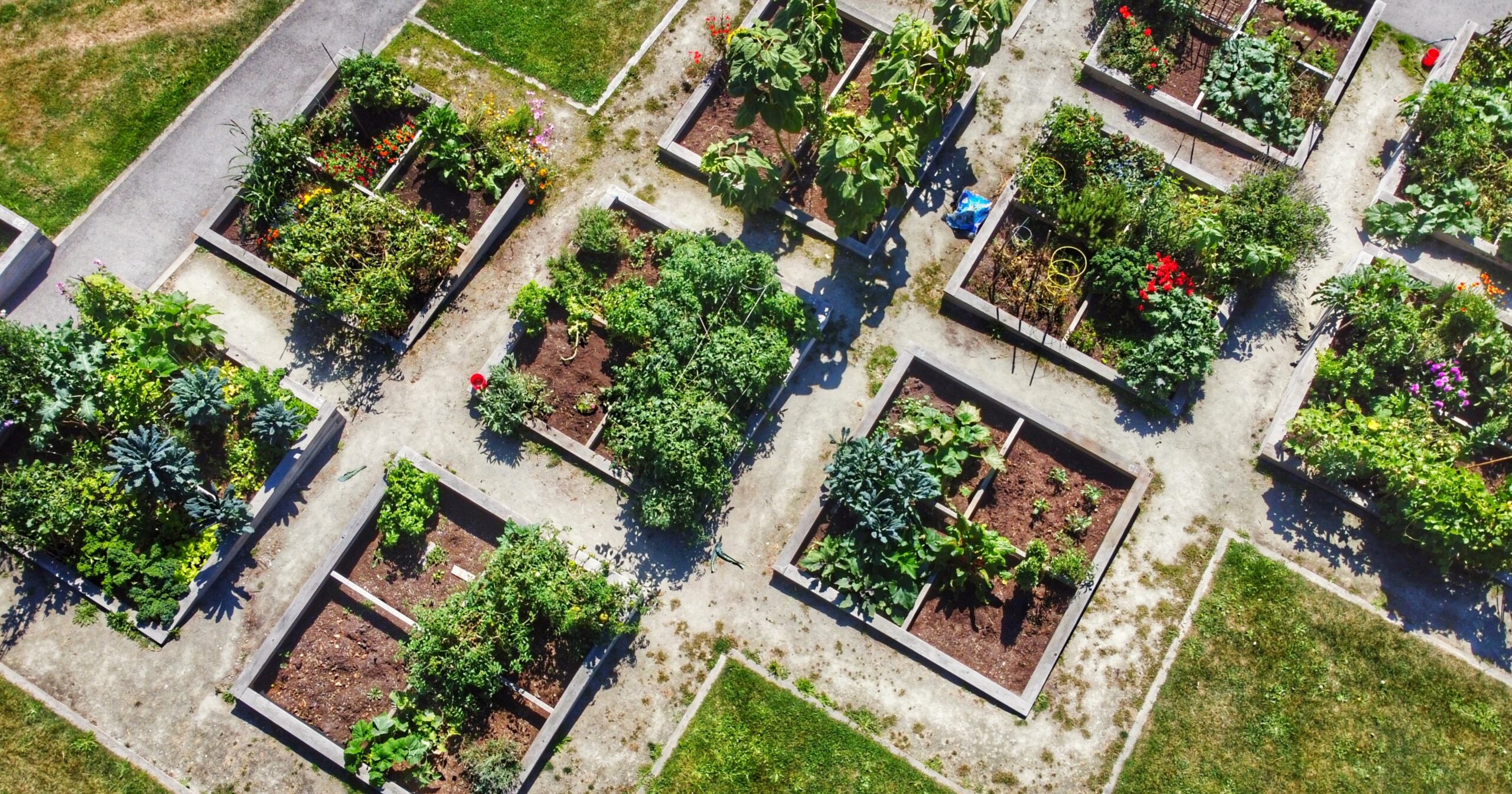 community garden design