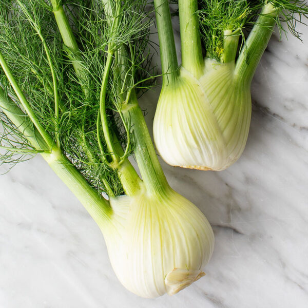 Fennel