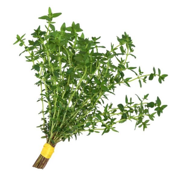 Thyme