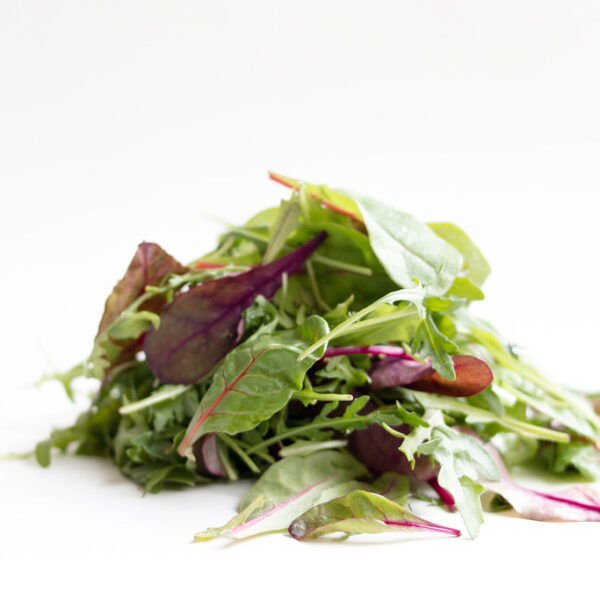 Salad Mix