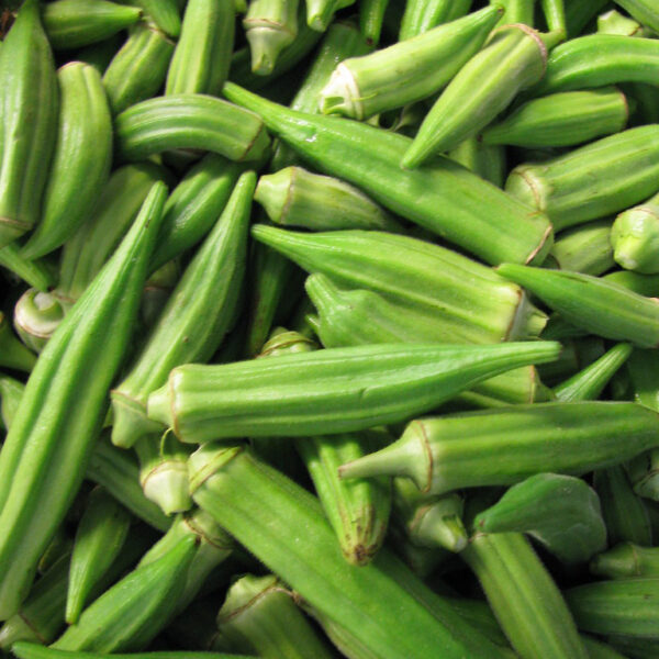 Okra