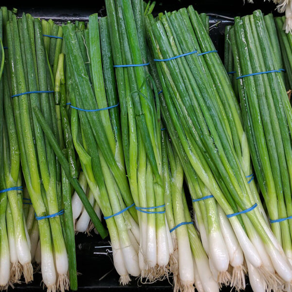 Scallions