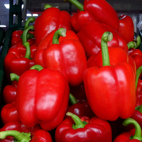 Red Bell Peppers