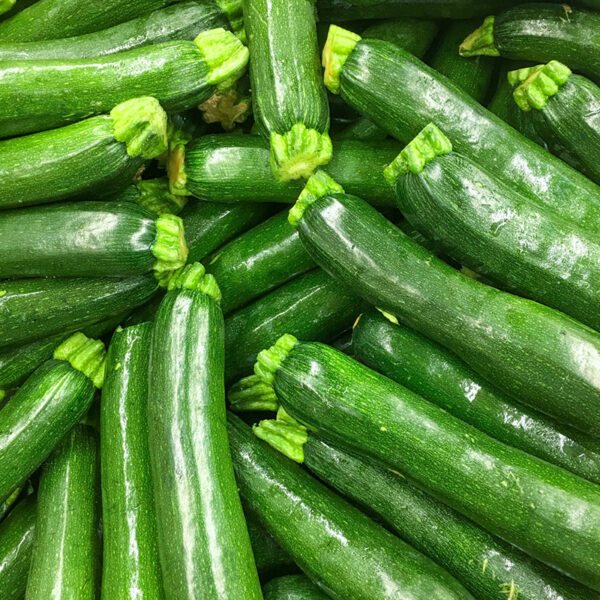 Zucchini