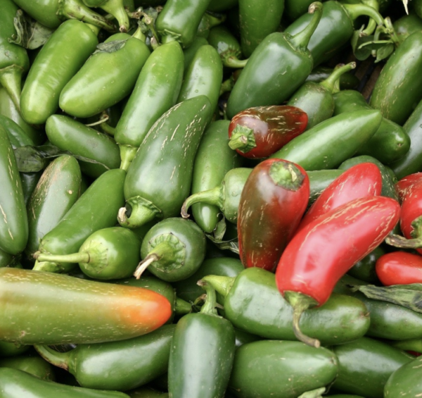Jalapeno, each