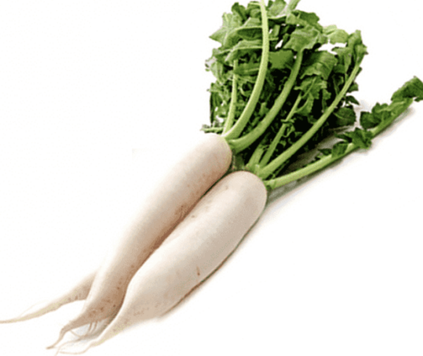 Radish, Daikon Bunch