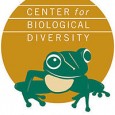 So three weeks have officially passed since I started my internship with the Center for Biological Diversity (CBD) in downtown San Francisco. CBD is an organization that believes humans are […]