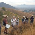 We met Señor Juan José Consejo, Director of the Institute of Nature and Society of Oaxaca (INSO ), again on a cool morning in the mountains above the central valley. […]