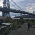 Since my last post, my internship has moved from the Manhattan Borough President’s Office to Agritecture. Yes, you are reading that right. It’s a play on agriculture and architecture. Agritecture […]