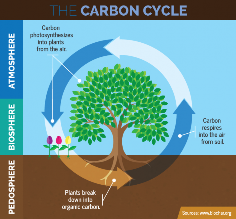 metlink-royal-meteorological-society-carbon-dioxide-in-the-atmosphere