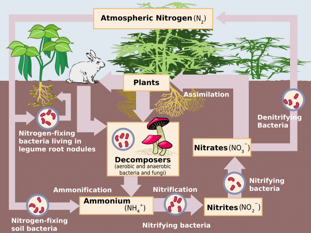 balancing-the-greenhouse-gas-emissions-budget-it-s-not-just-carbon-by