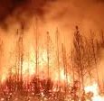 American forests are at risk. Wildfires are becoming more frequent, fire season is lasting later into the year, and fires are burning for longer. And the costs of these fires continues […]