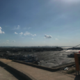 BY Kayla Adams, Bard 2019  “The birds don’t lie.” Nial Moores, Birds Korea One hot summer August in South Korea, gave me an experience I will never forget. Last month, […]