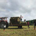 By Diego Callenbach Working on a farm across the world in Japan was truly something I had never imagined doing in my entire life prior to the second semester of […]