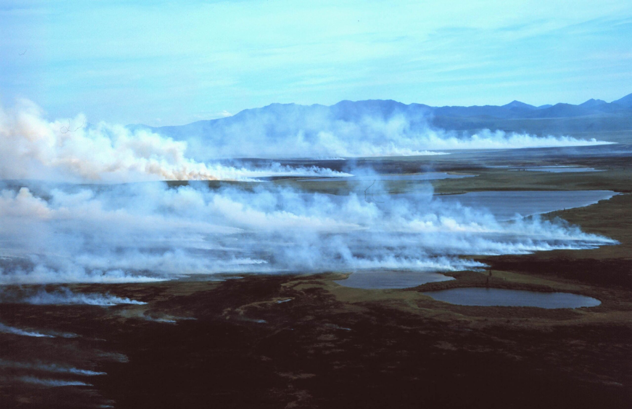 Where There’s Smoke There’s Fire: Influence of Arctic Tundra Fire on Methane Dynamics