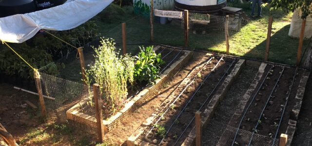 In January of 2020, my Bard College Master’s of Environmental Policy classmates and I traveled to Oaxaca, Mexico to learn about community-led watershed management, conservation, and sustainable development. We had [&hellip;]