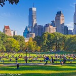 NYC Green Spaces: A Health Necessity Few Can Enjoy