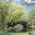 It’s a beautiful spring day. The flowers are blooming, the sun is shining and you want to go for a stroll around a park or picnic on the grass, maybe […]
